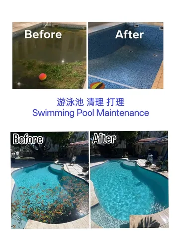 Before and after of a green pool cleaned back to clear water