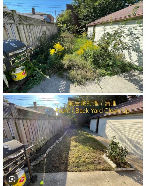 Overgrown backyard with weeds and clutter before, and tidy cleared space after