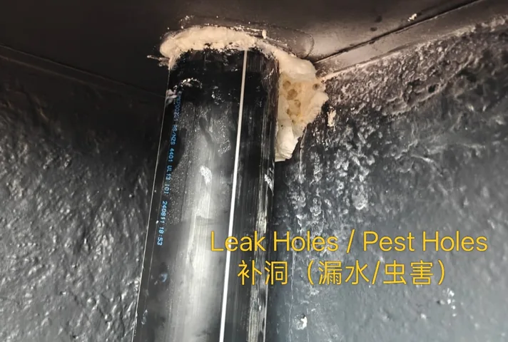 Gaps around a pipe penetration sealed with expanding foam