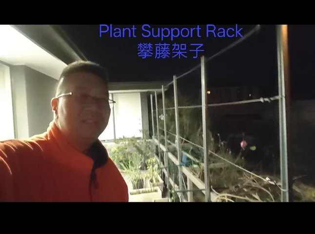 Steel posts and wires forming a climbing plant support along a balcony