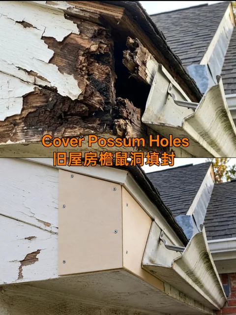 Rotten roof eave timber with possum holes before, and sealed repaired panel after