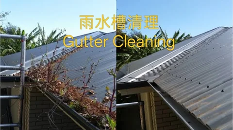 Roof gutters full of leaves and weeds before cleaning, and clear gutters after